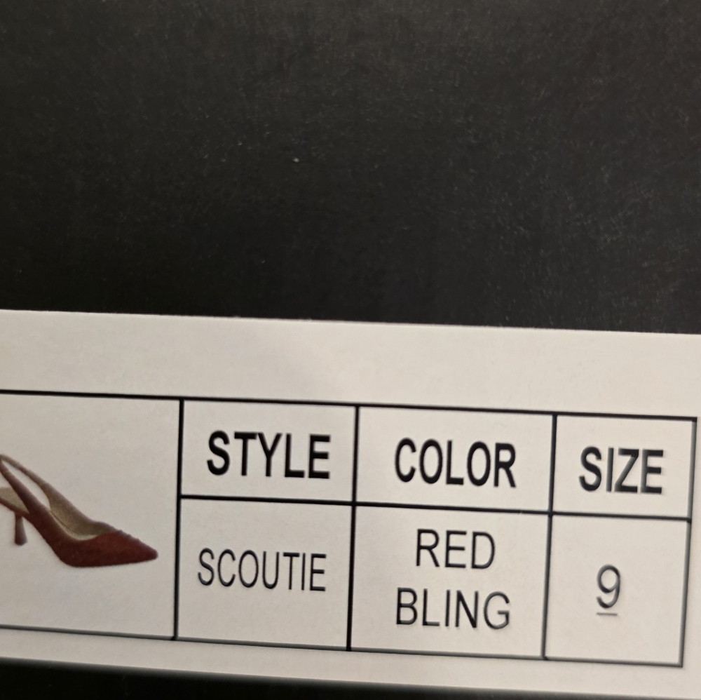 BRAND NEW NICOLE NILLER SCOUTIE SLINGBACK PUMPS (Women)ELEGANT SHEEL - Picture 16 of 16